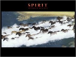 Spirit Stallion of the Cimarron, Film animowany, Mustang z Dzikiej Doliny